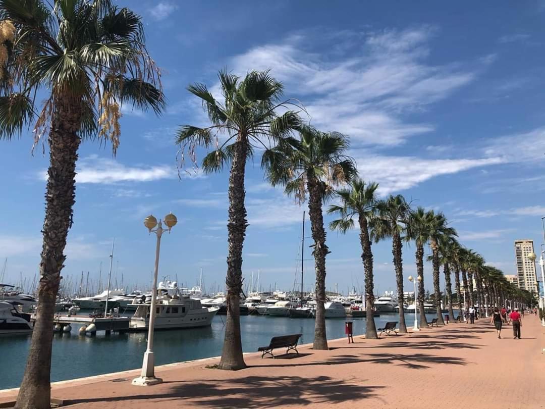 Casaturis Pintor Lorenzo A105 Lejlighed Alicante Eksteriør billede